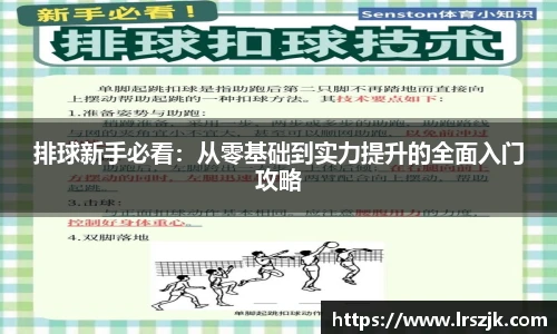 排球新手必看：从零基础到实力提升的全面入门攻略